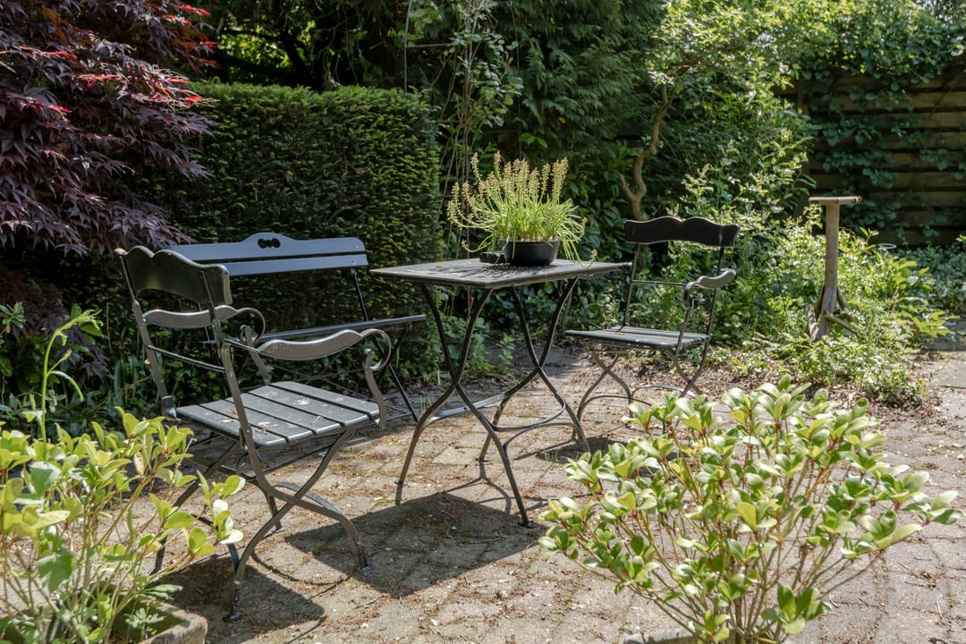 Photo 56 of Zomertaling 7