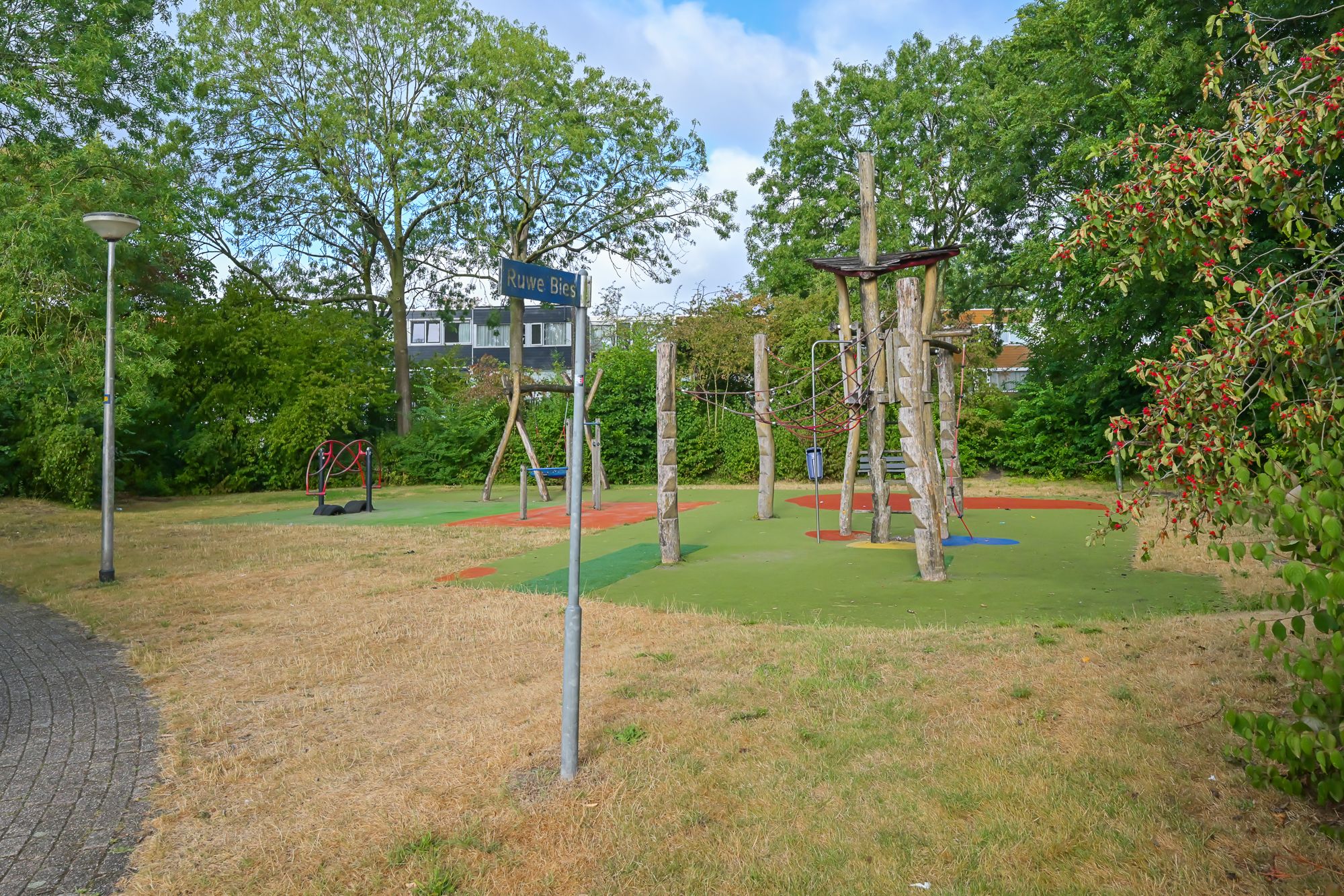 Foto 42 van Ruwe Bies 16