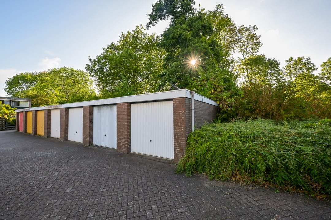 Foto 41 van Ruwe Bies 16