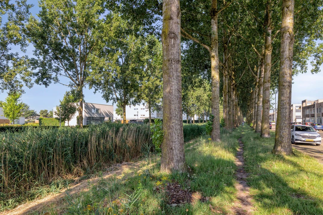 Foto 41 van Reuverlaan 5