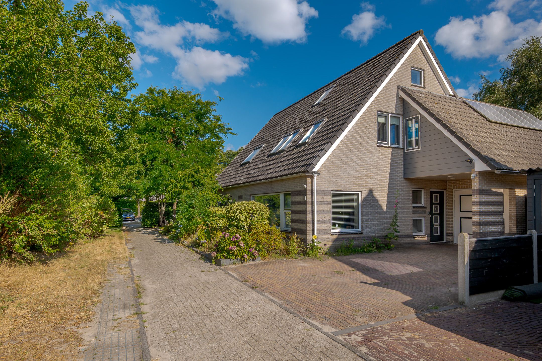 Photo 66 of Kolibrievlinder 23