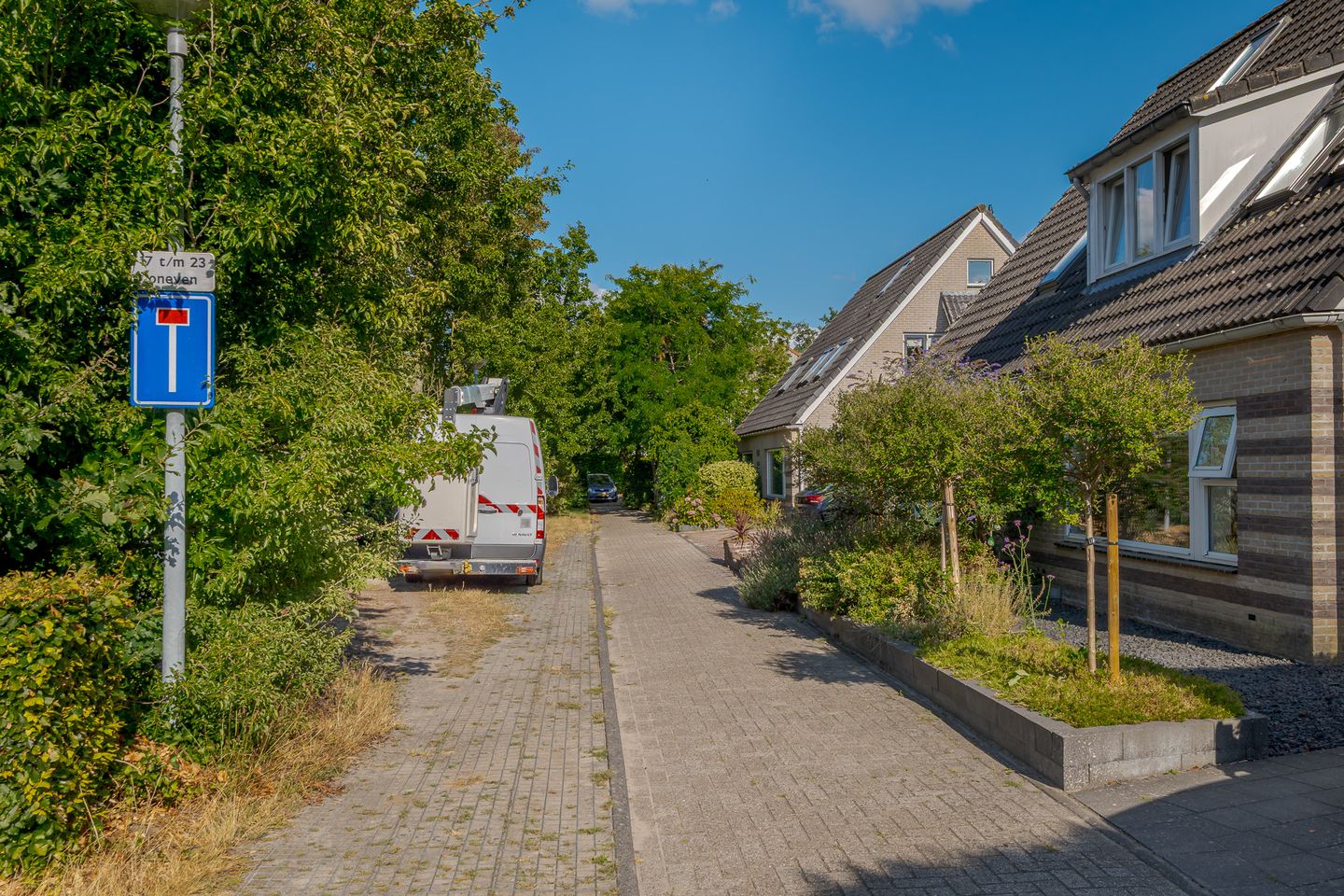 Photo 59 of Kolibrievlinder 23