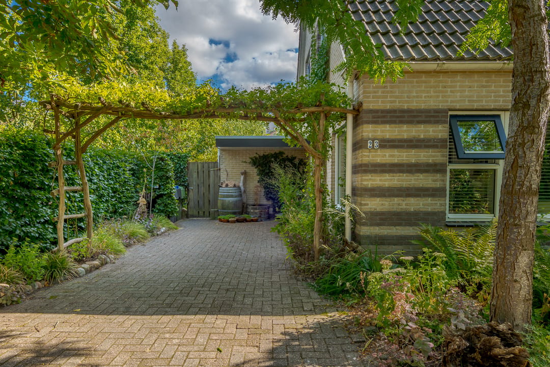 Photo 61 of Kolibrievlinder 23