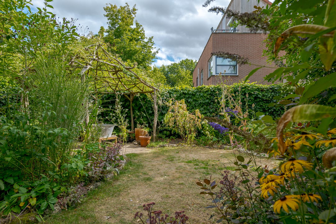 Photo 26 of Kolibrievlinder 23