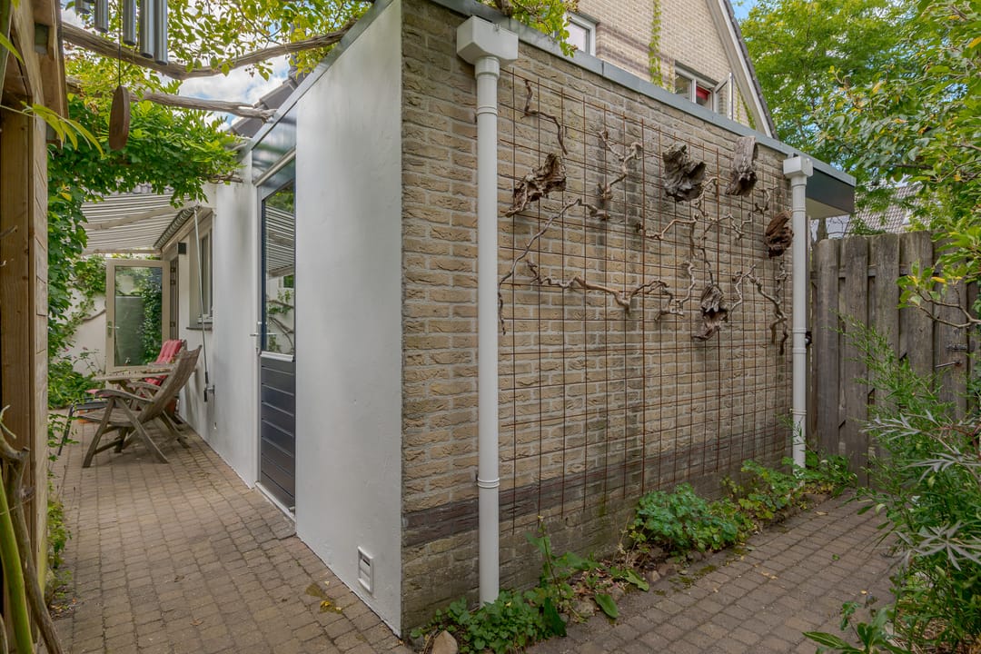 Photo 37 of Kolibrievlinder 23