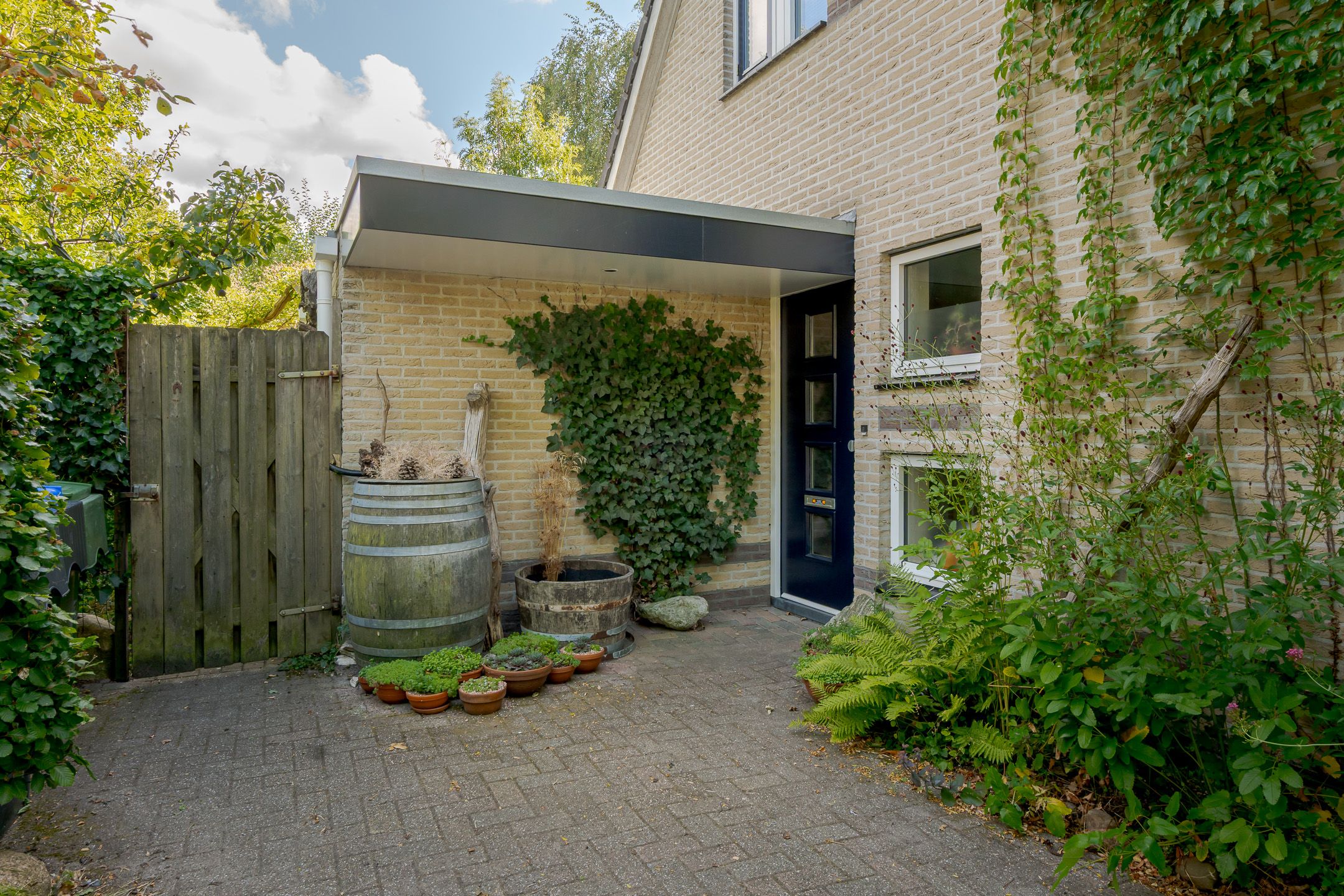 Photo 63 of Kolibrievlinder 23