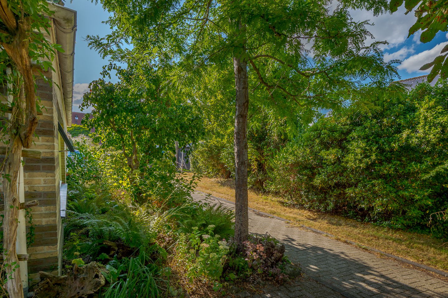 Photo 64 of Kolibrievlinder 23