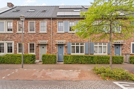 Leonard Springerstraat thumbnail