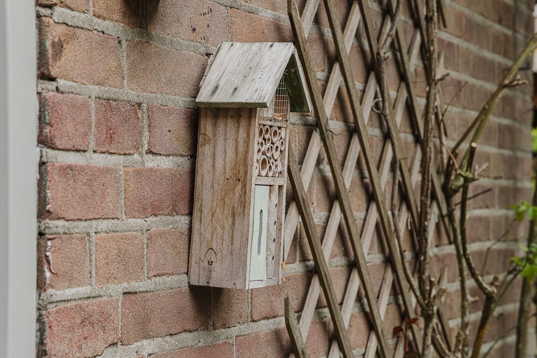 Photo 56 of Nieuwstraat 100