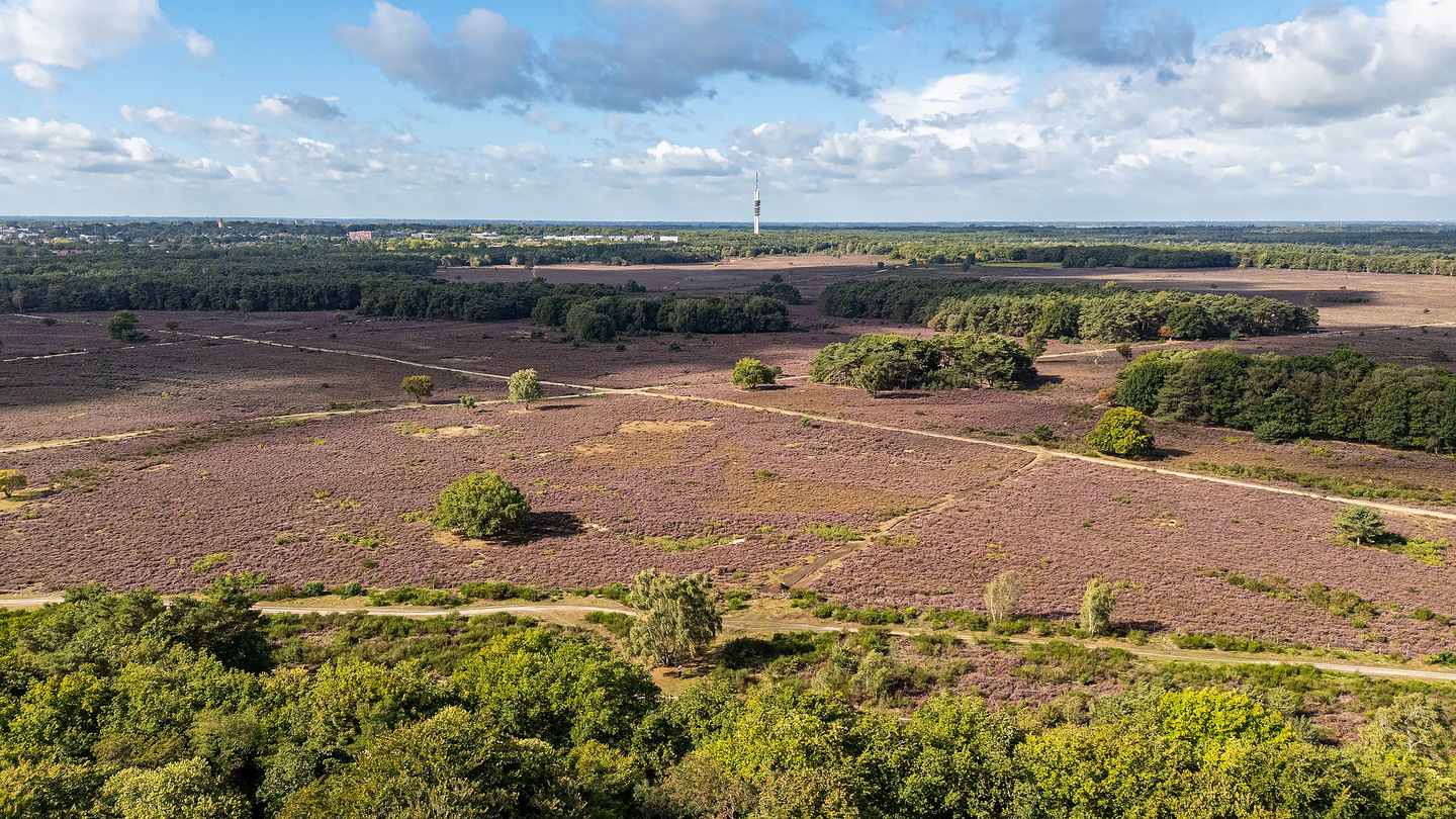 Foto 40 van Hoog Hoefloo 27