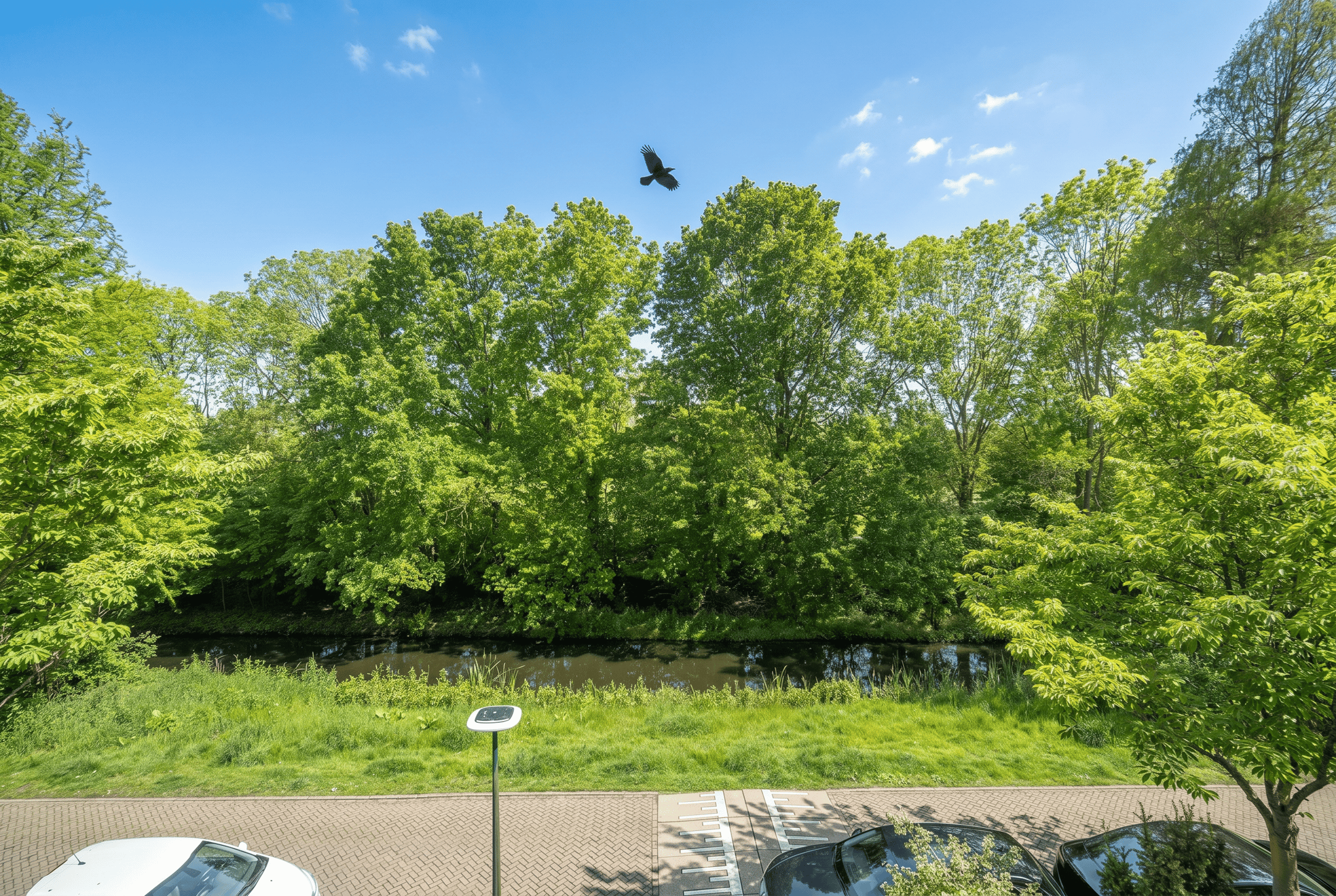 Photo 60 of Willibrordlaan 12