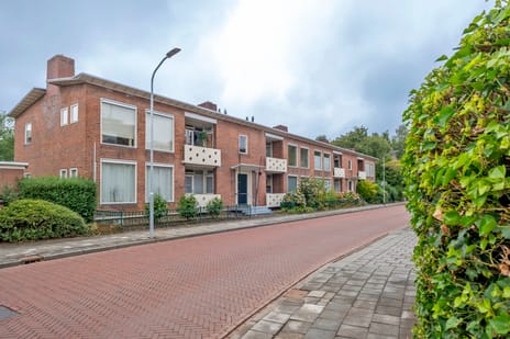 Pelikaanstraat thumbnail