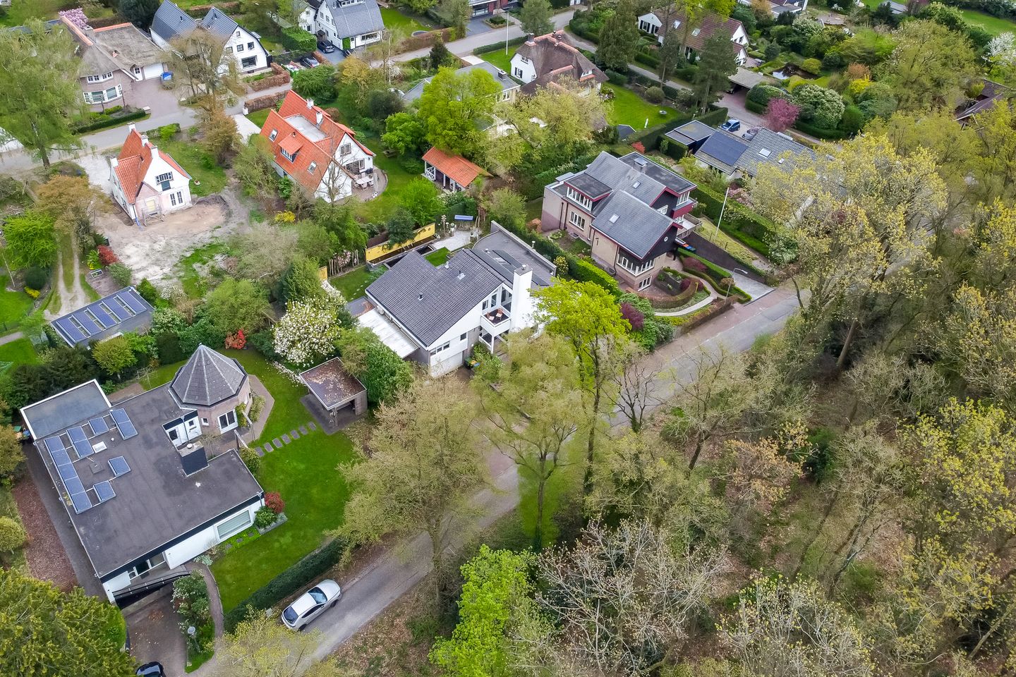 Photo 74 of Berg en Bos 32