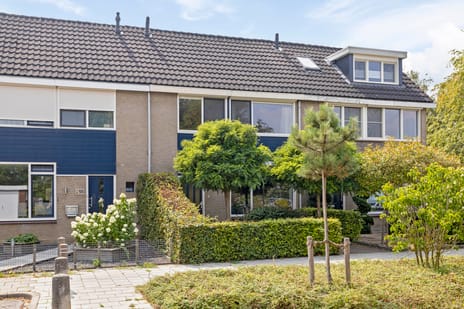 Prunusstraat thumbnail