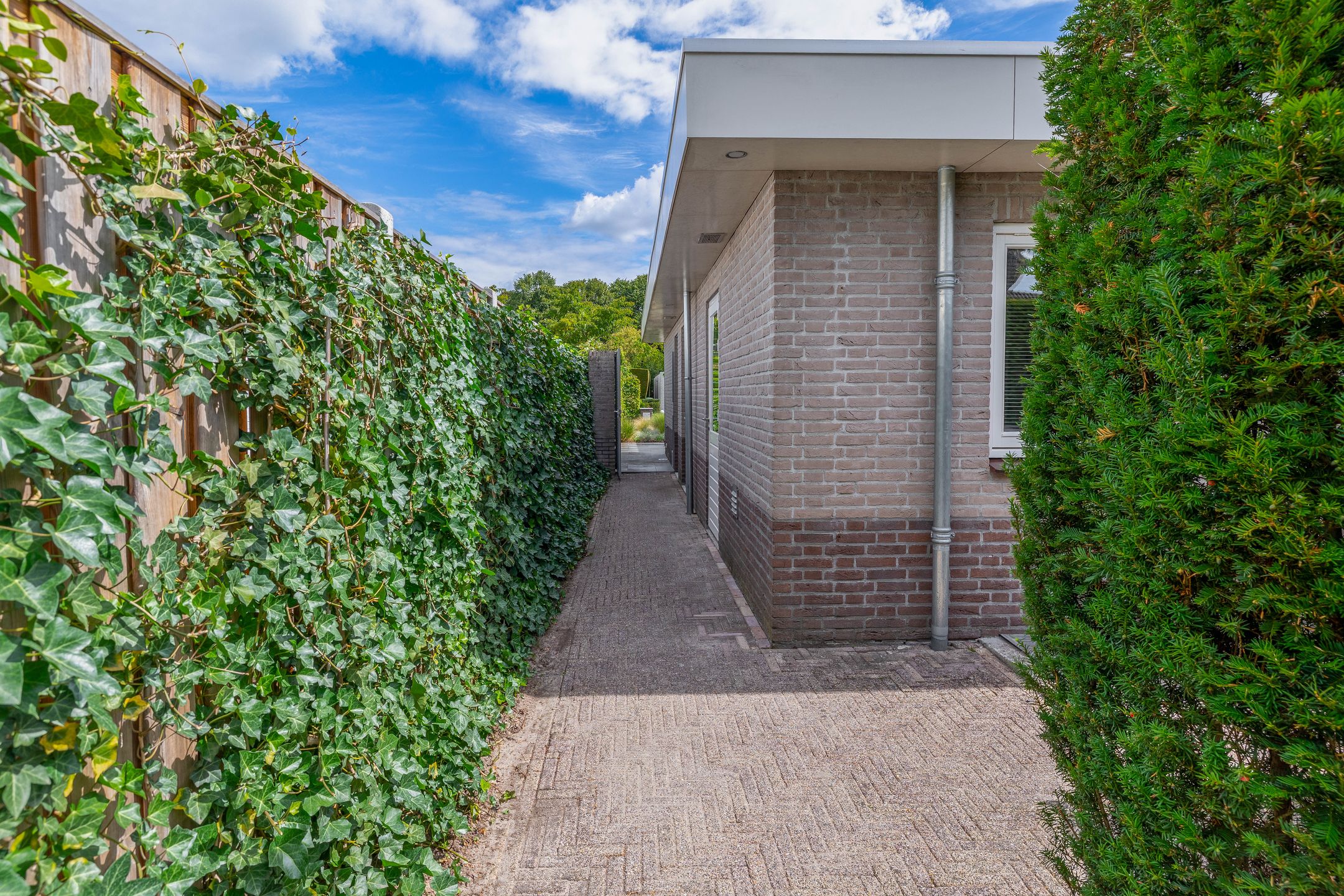 Photo 51 of Lambert Colenstraat 3