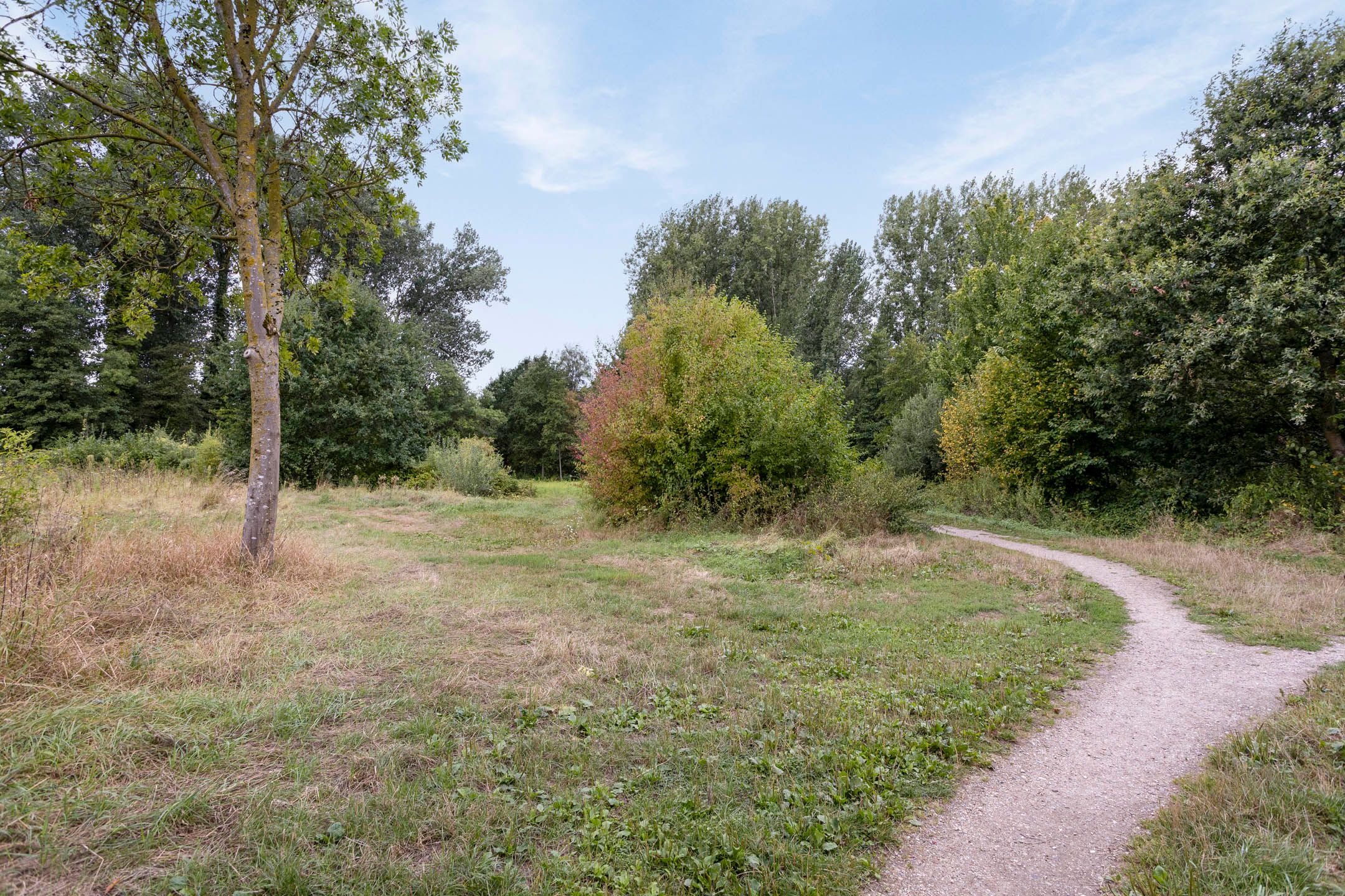 Foto 42 van Hondsruglaan 138