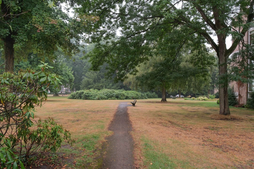 Foto 22 van Park de Kotten 225