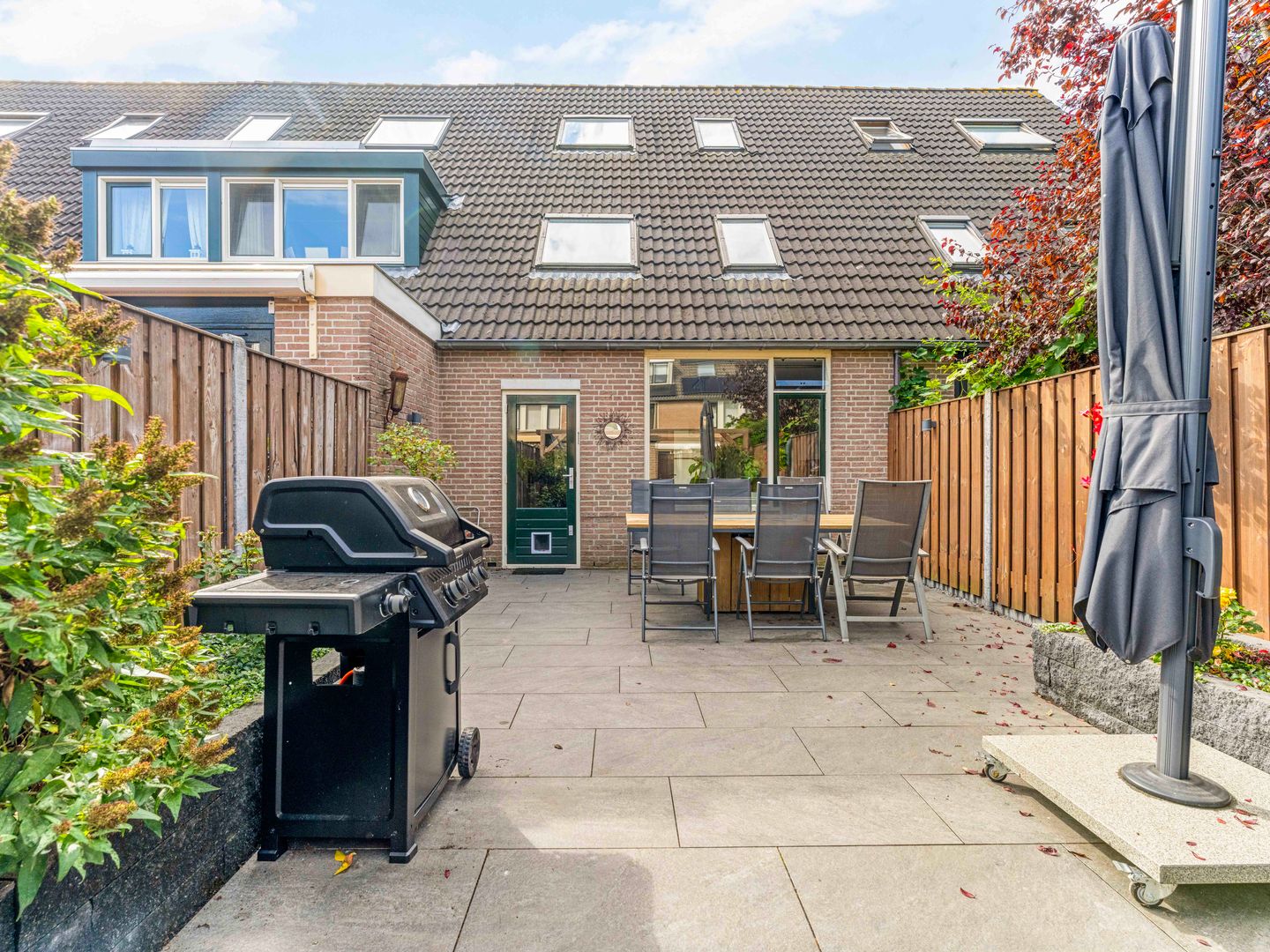 Photo 29 of Damastbloem 30