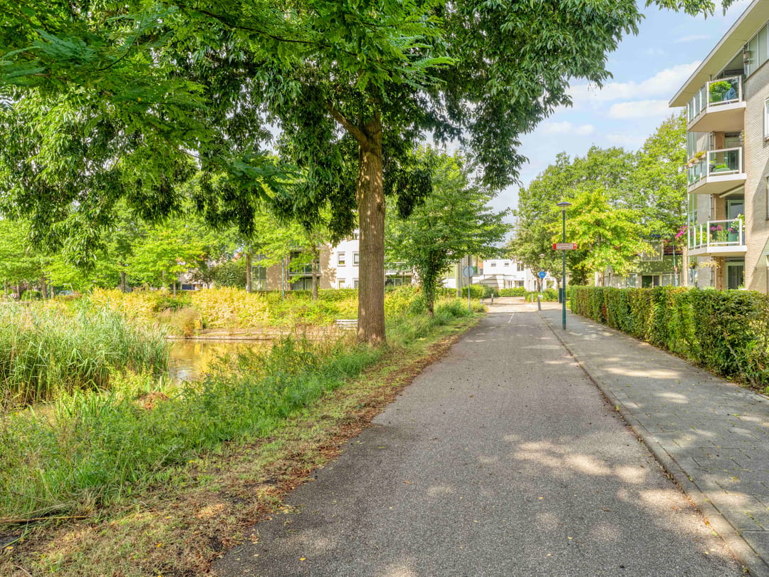 Photo 37 of Damastbloem 30