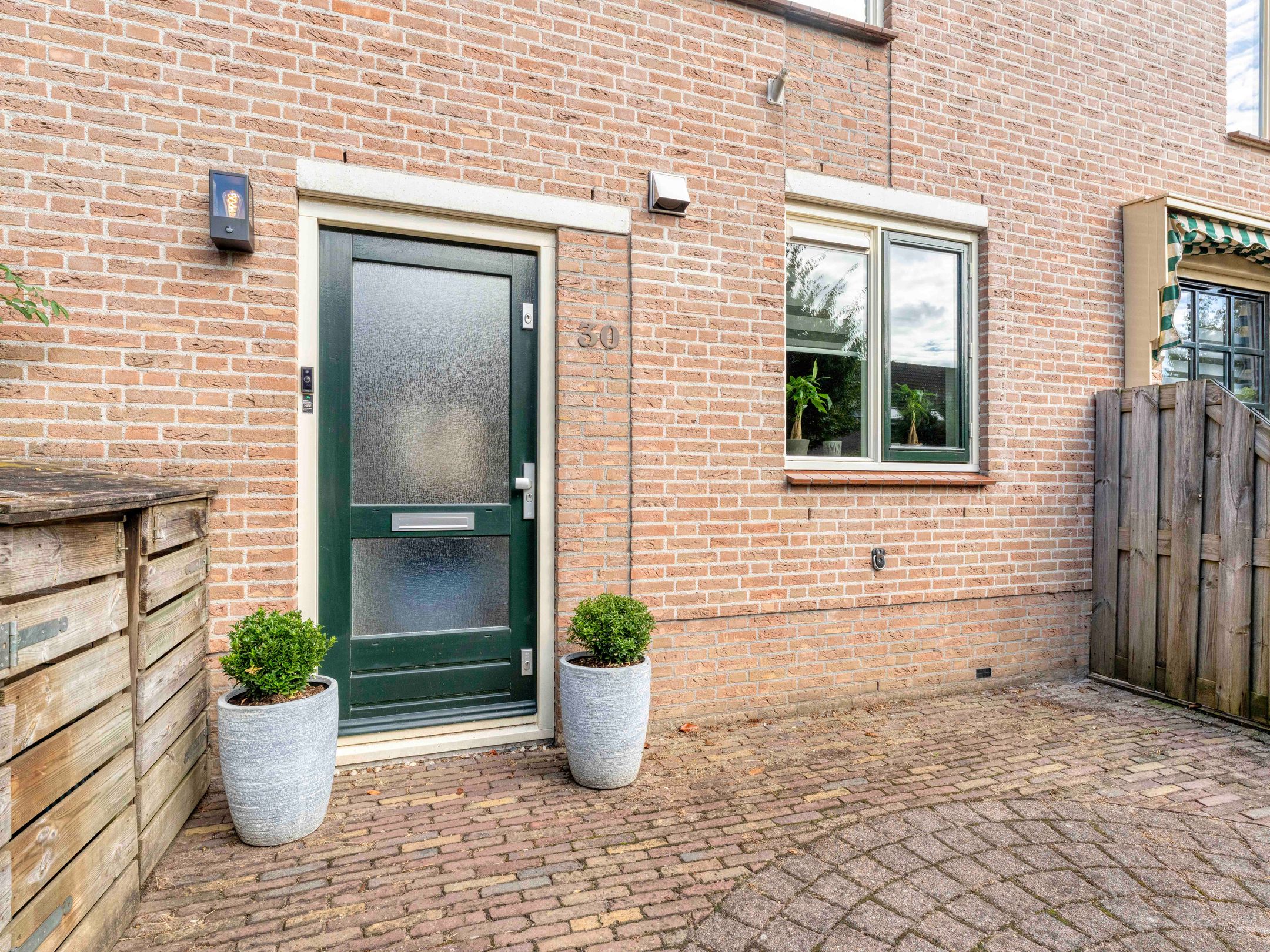 Photo 6 of Damastbloem 30
