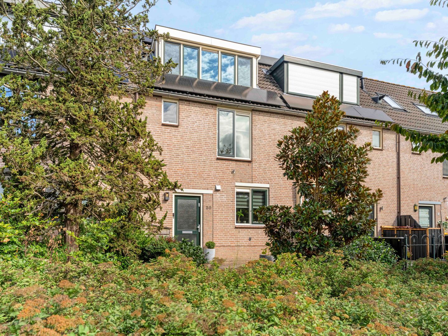 Photo 35 of Damastbloem 30