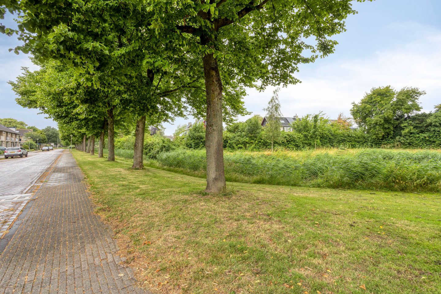Photo 55 of Vroonenburg 23
