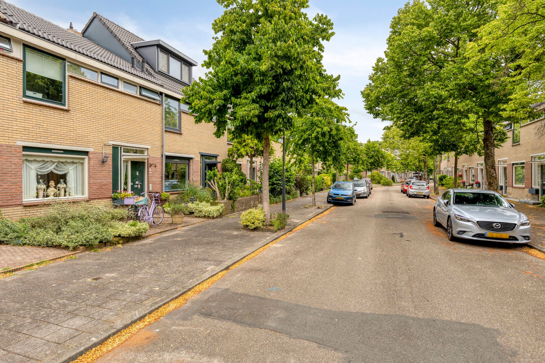 Photo 24 of Aletta Jacobsstraat 48
