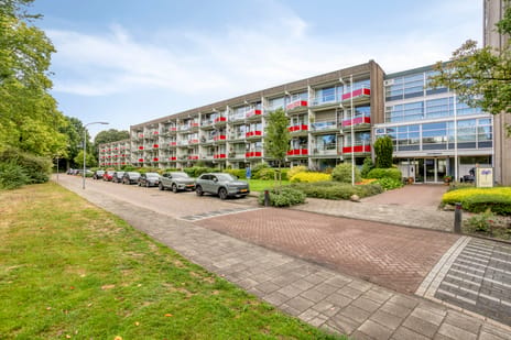 Anemoonstraat thumbnail