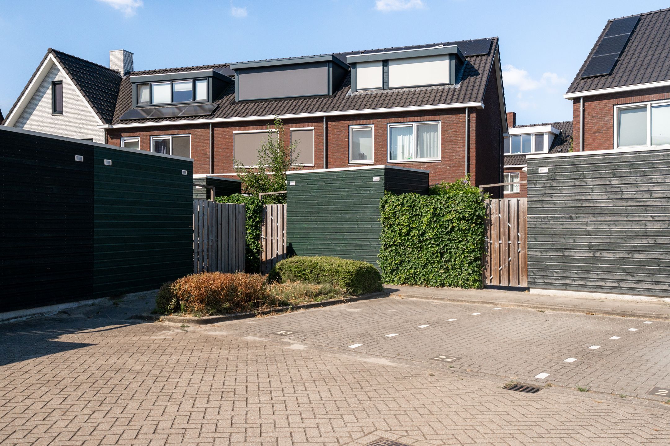 Photo 39 of Keizersmantelzoom 15