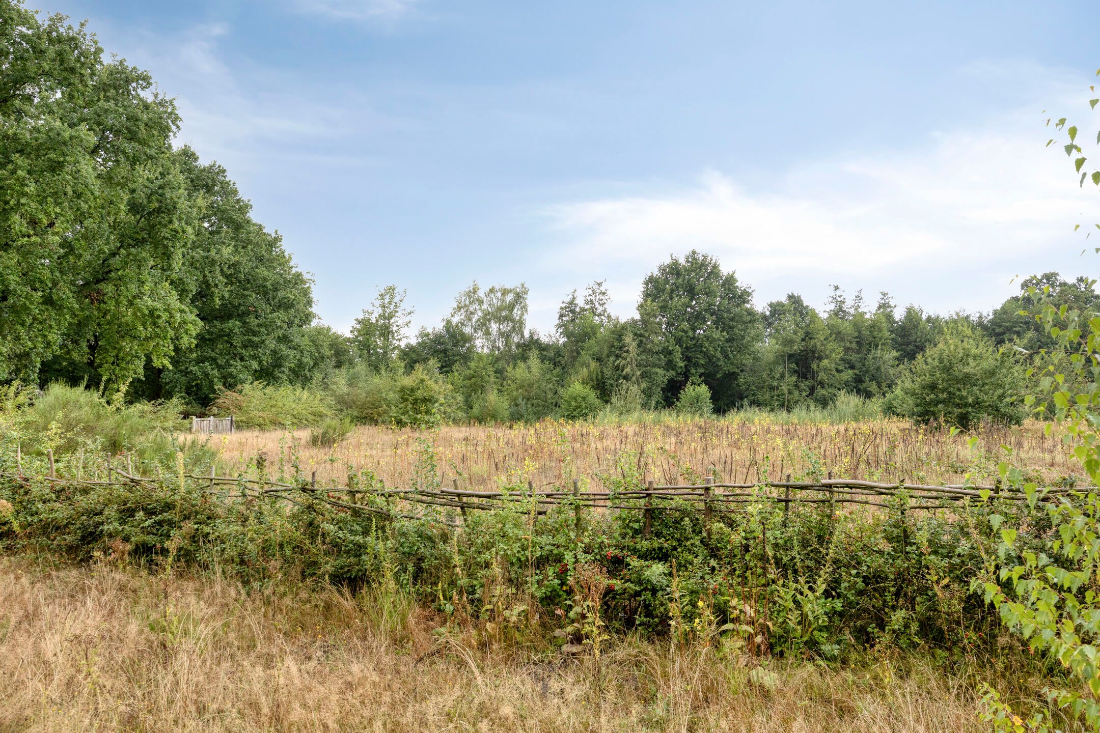 Photo 39 of Dorresteinseweg 64