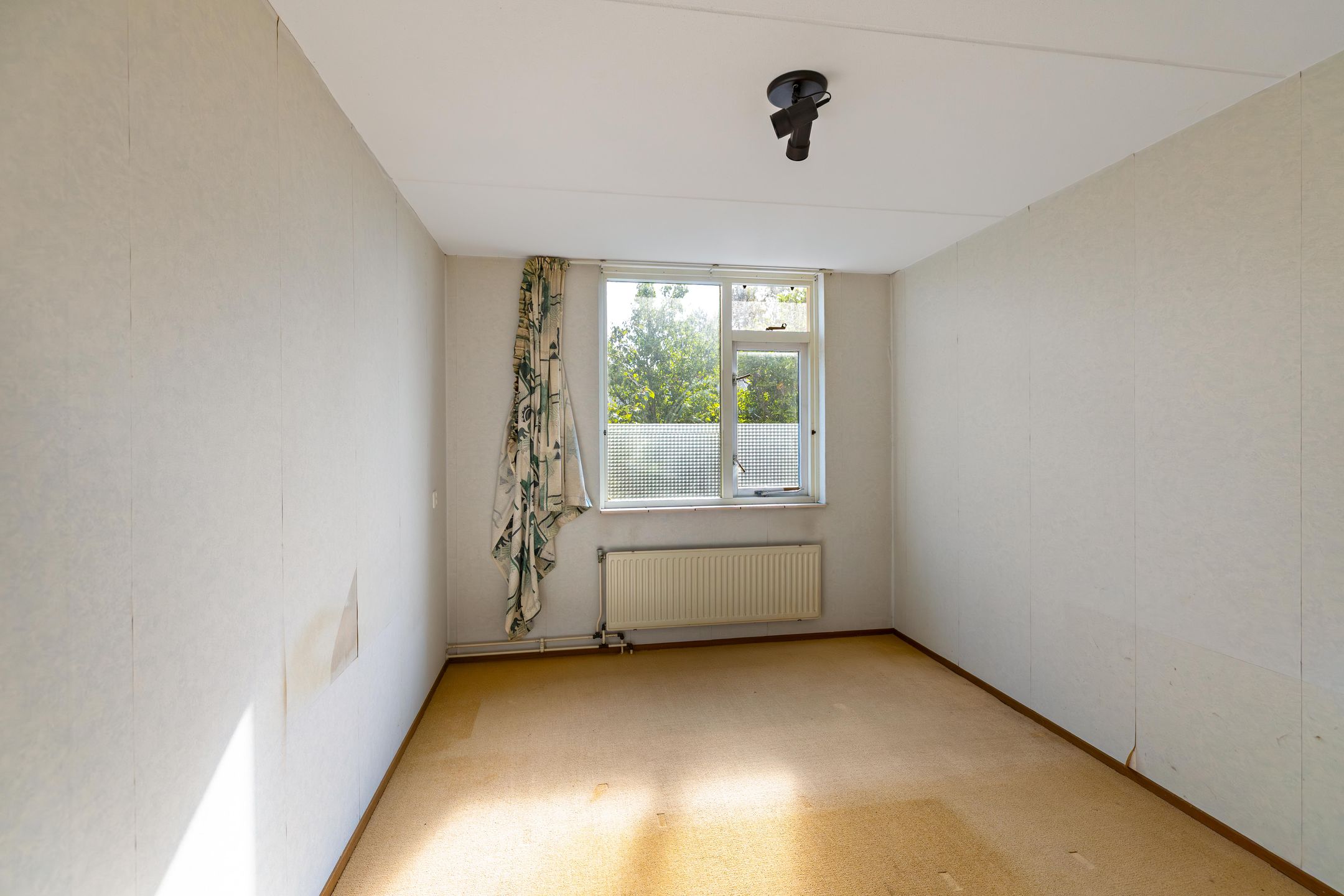 Photo 18 of Spantenzetter 49