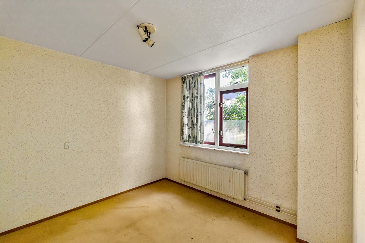Photo 19 of Spantenzetter 49