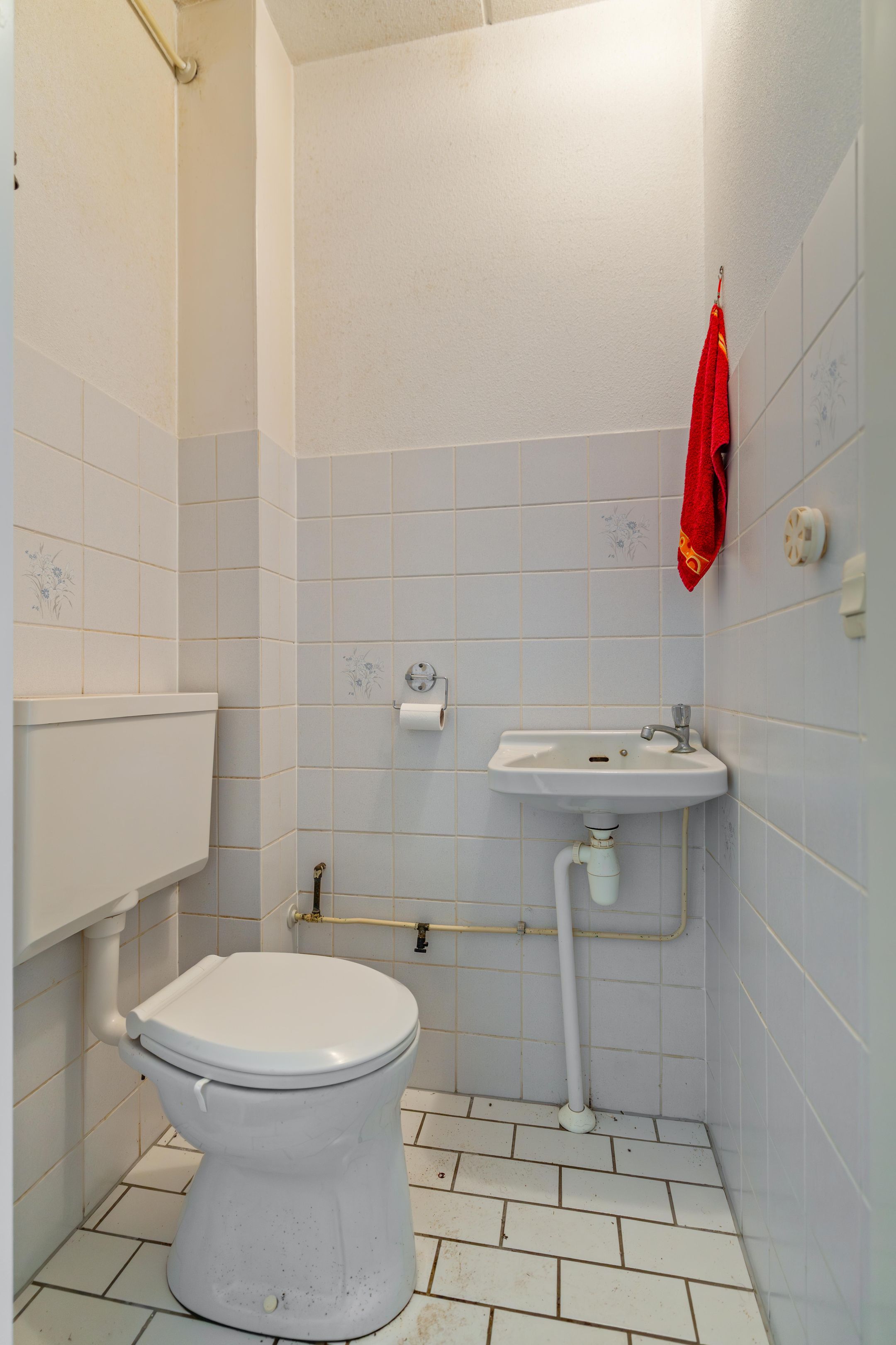 Photo 12 of Spantenzetter 49