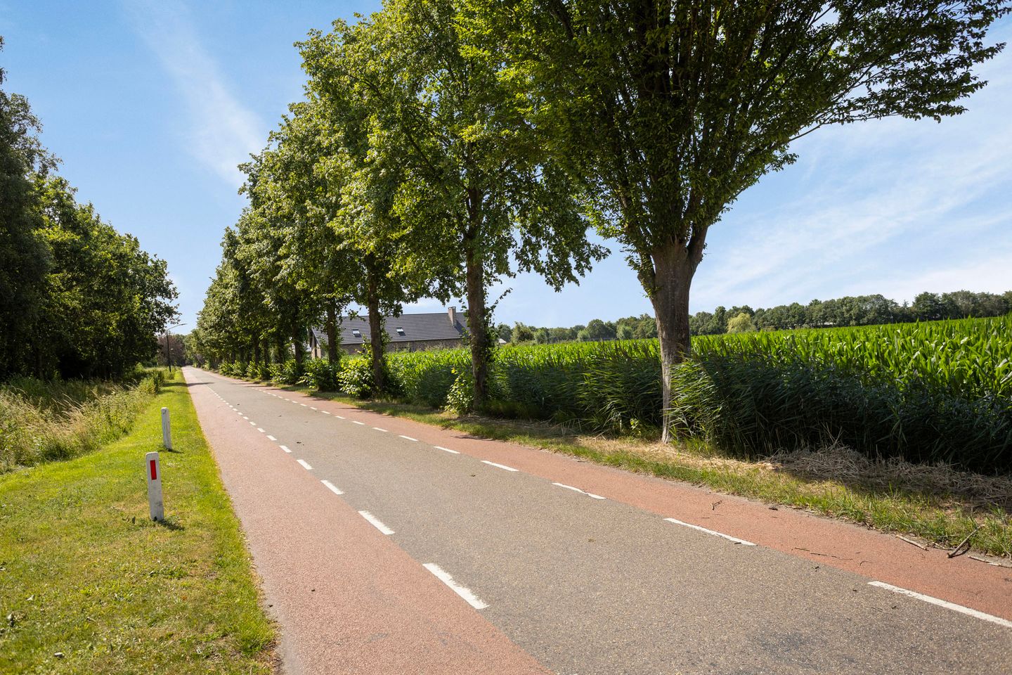 Photo 44 of Achterstraat 34