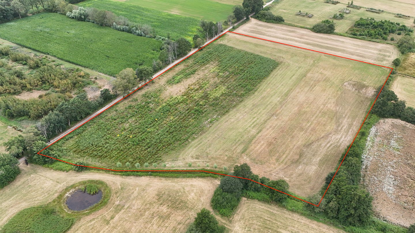 Bekijk foto 2 van Hoevenseweg