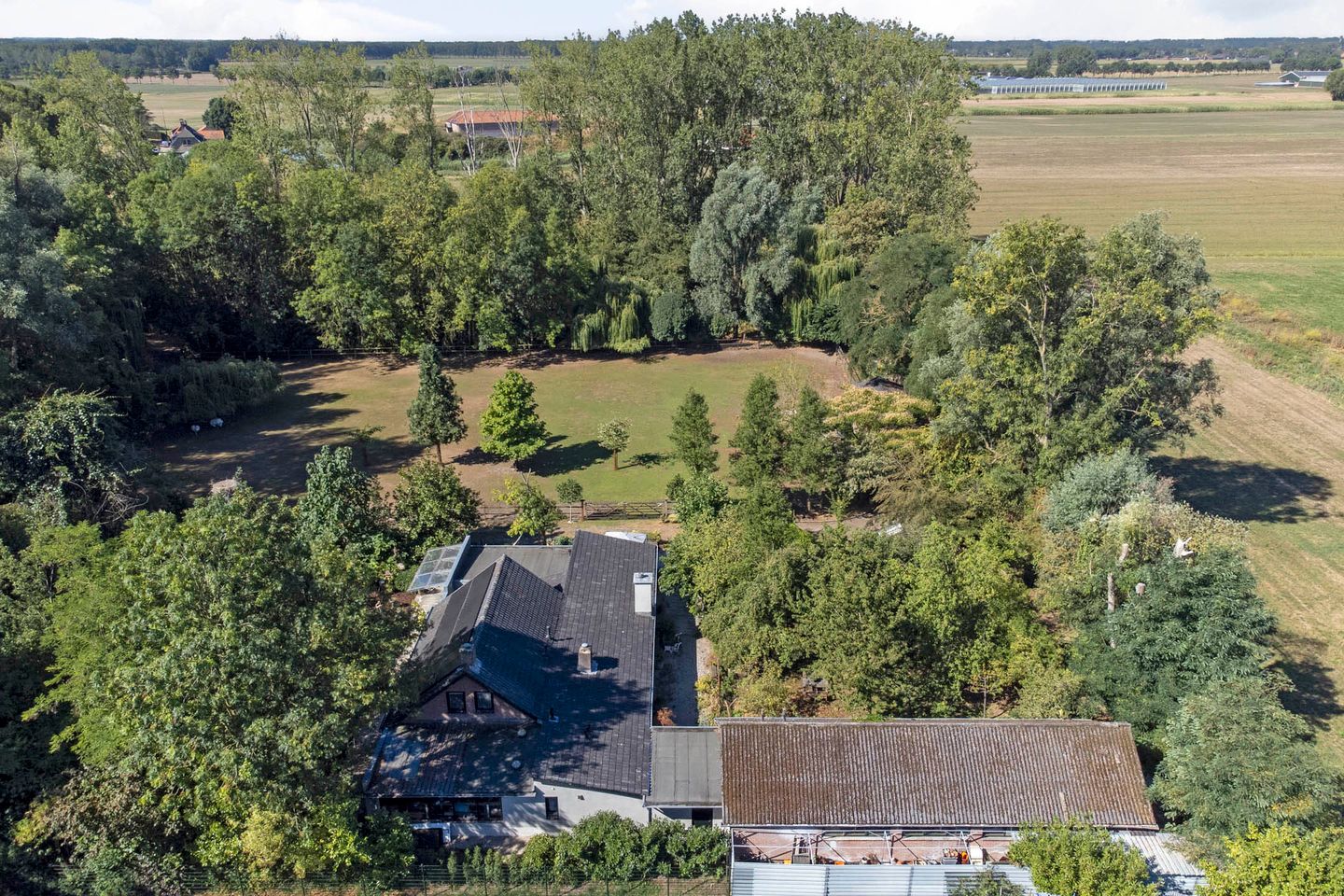 Foto 1 van Hoge Maasdijk 3
