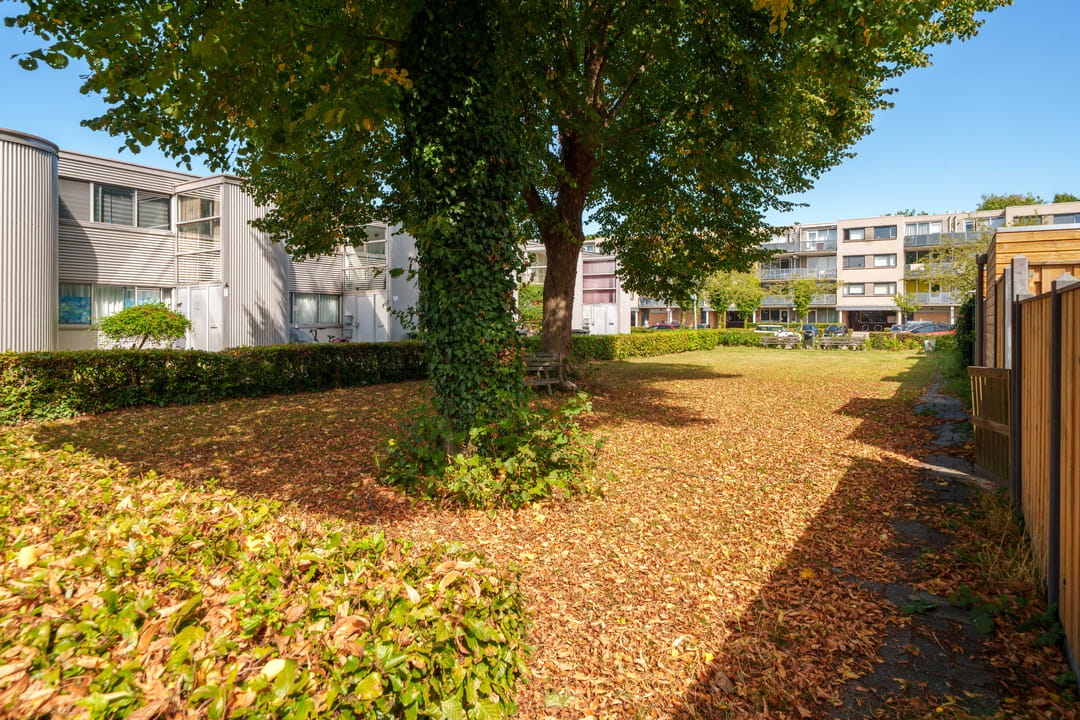 Photo 31 of Wessel Ilckenstraat 7