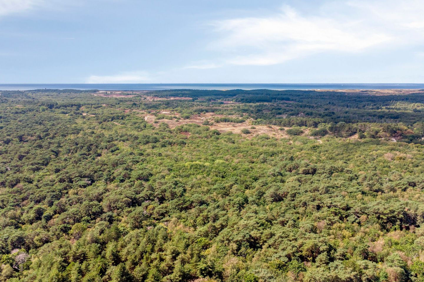 Photo 55 of Van Reenenpark 25