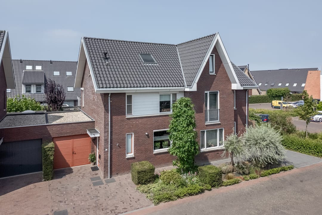 Foto 1 van Argusvlinder 6