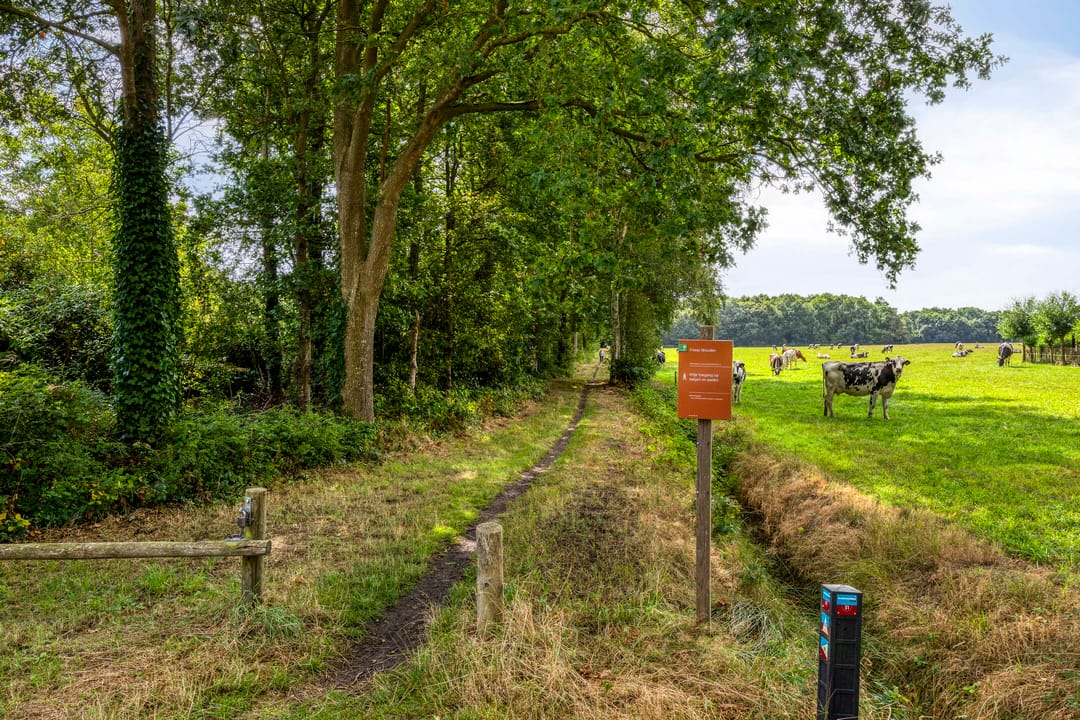 Foto 47 van Oosterstreek 61
