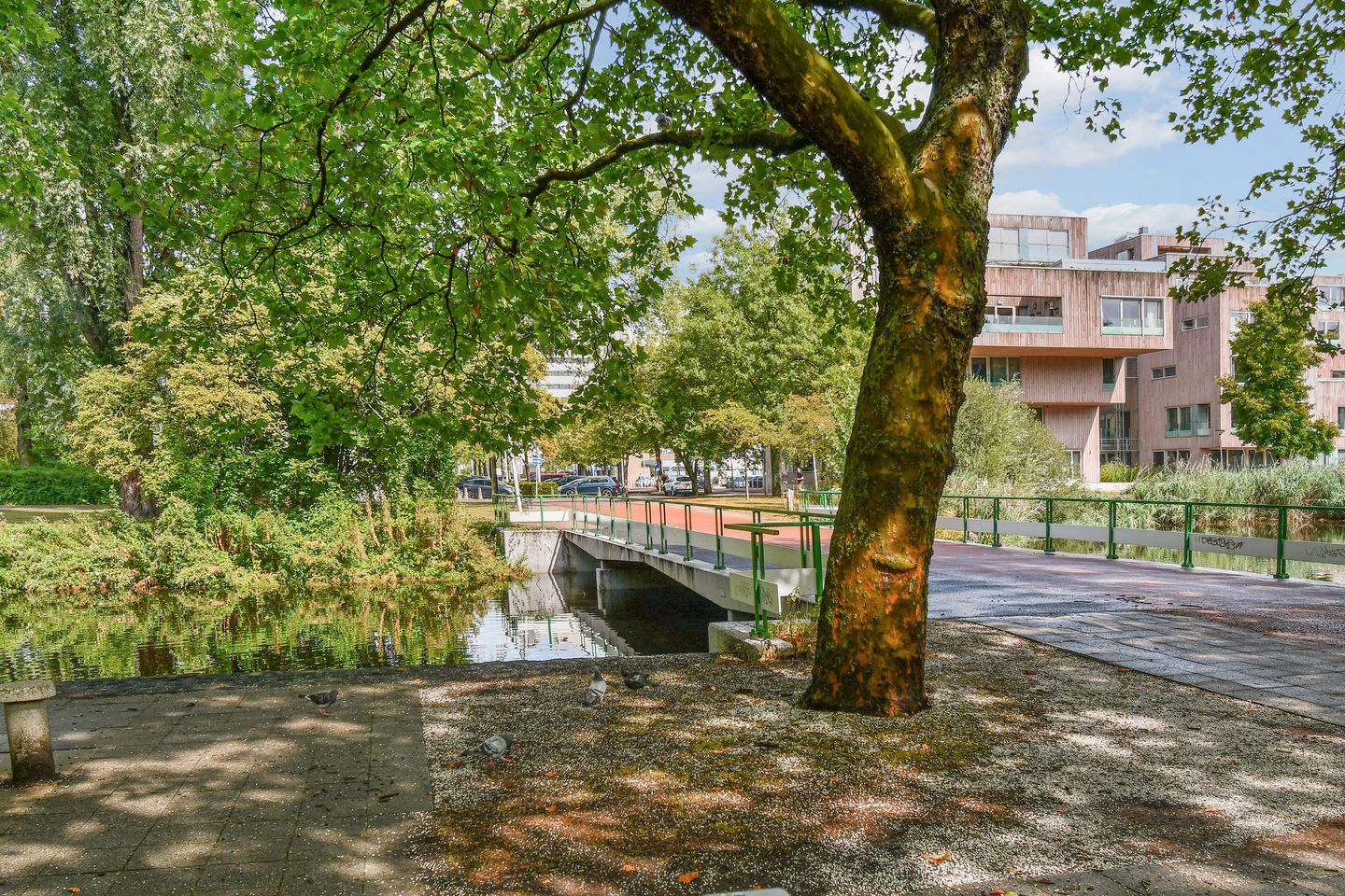 Photo 19 of Willem van Weldammelaan 20