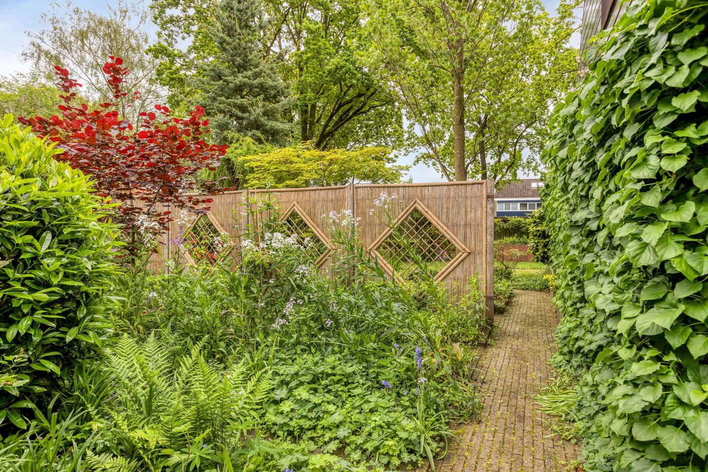 Photo 44 of Prinses Irenestraat 13