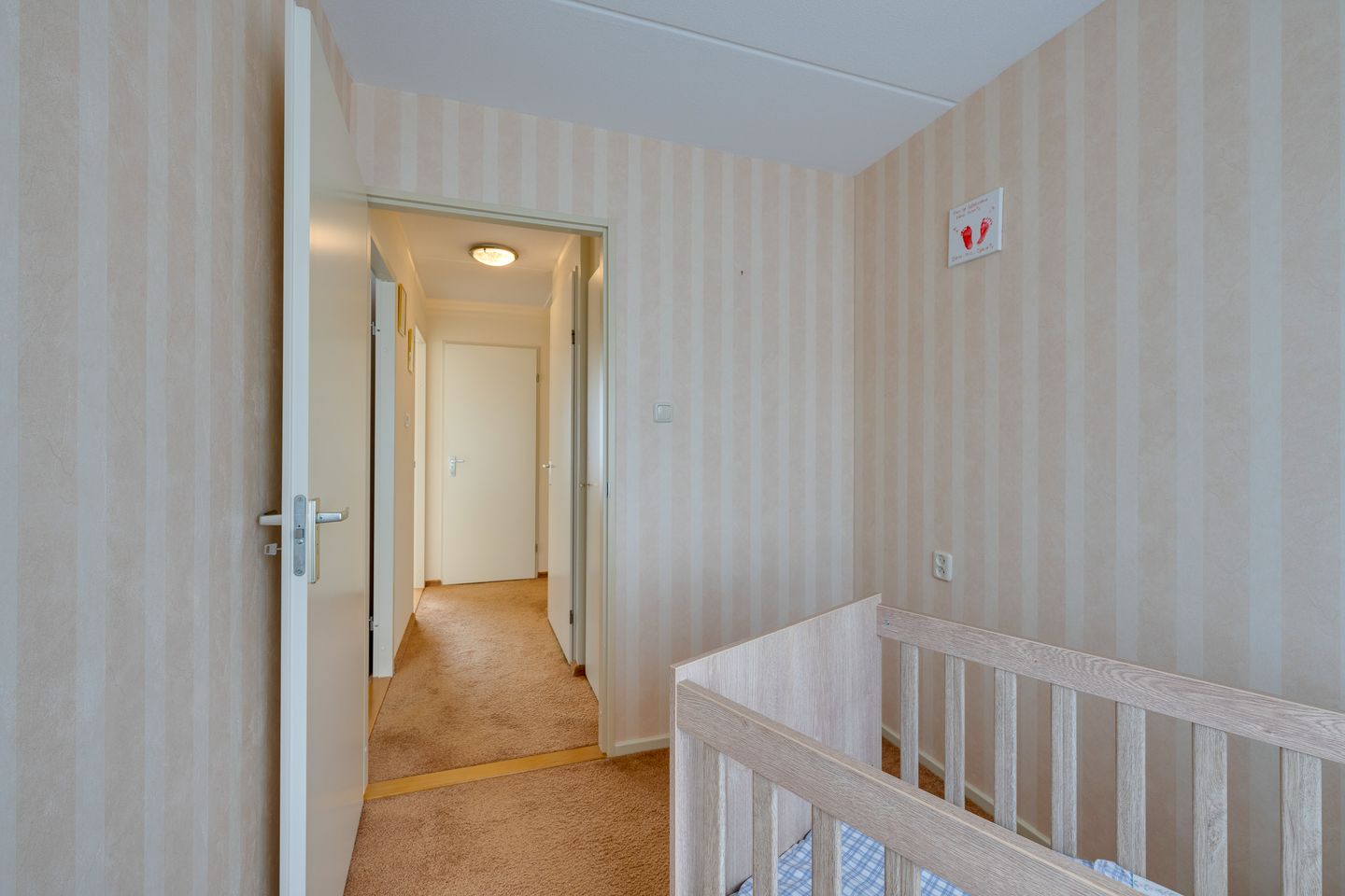 Foto 40 van Damcoogh 19