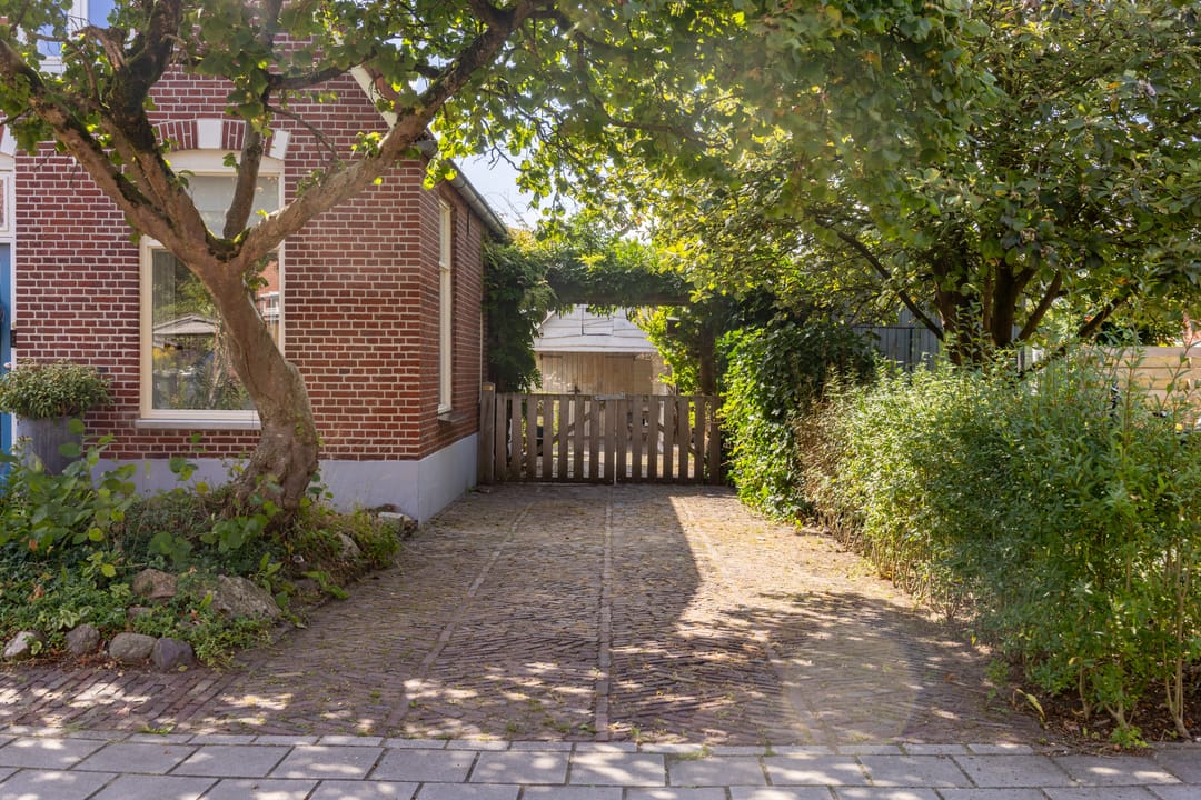 Photo 47 of Burgemeester van der Borchstraat 18