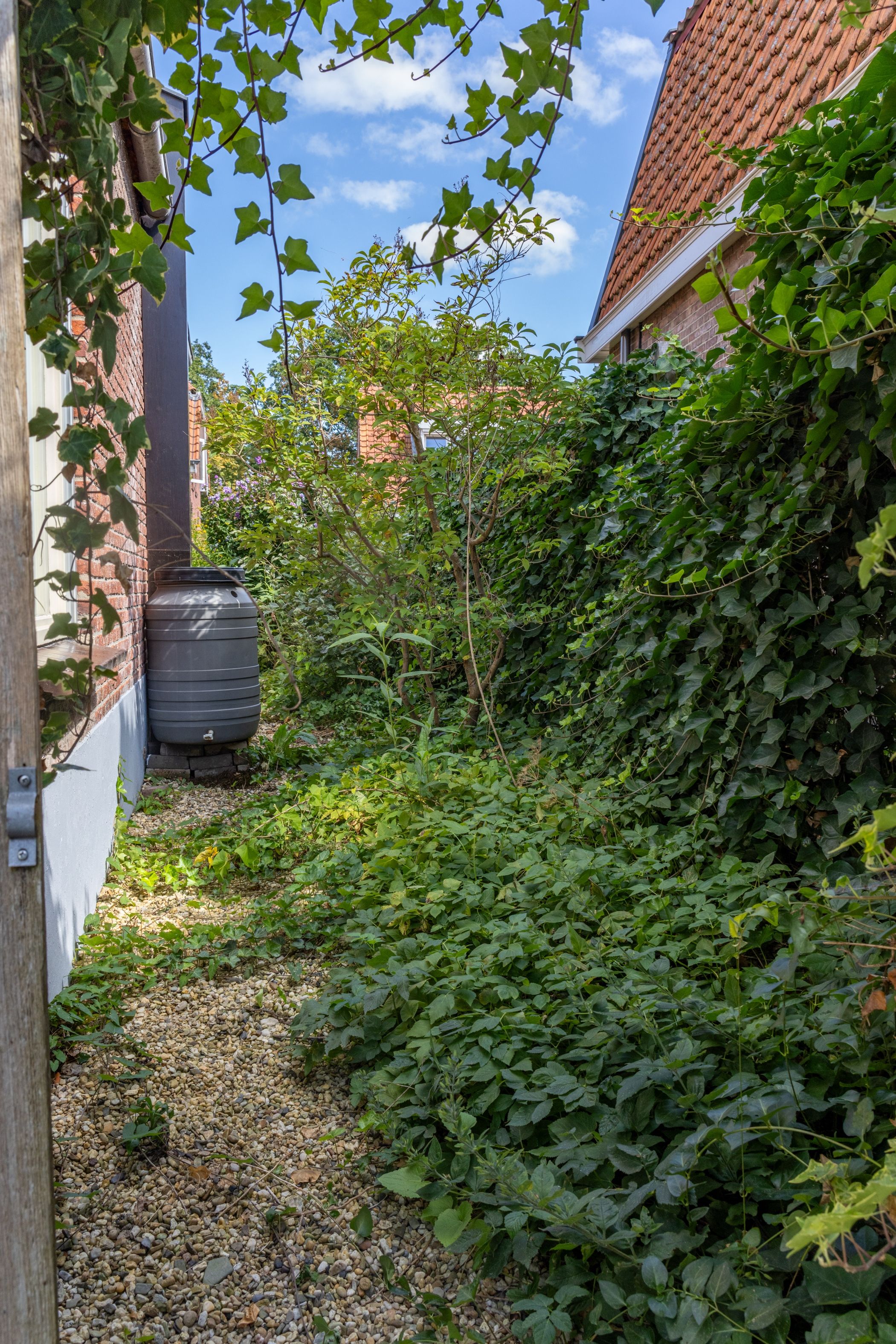 Photo 45 of Burgemeester van der Borchstraat 18