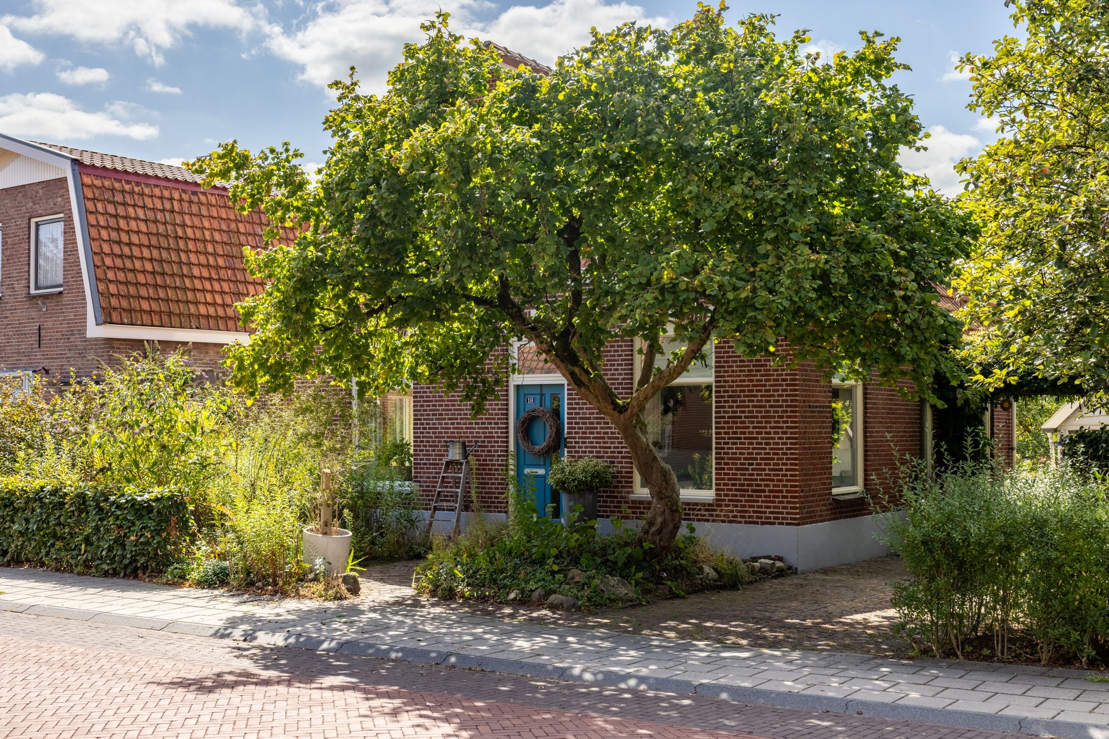 Photo 48 of Burgemeester van der Borchstraat 18