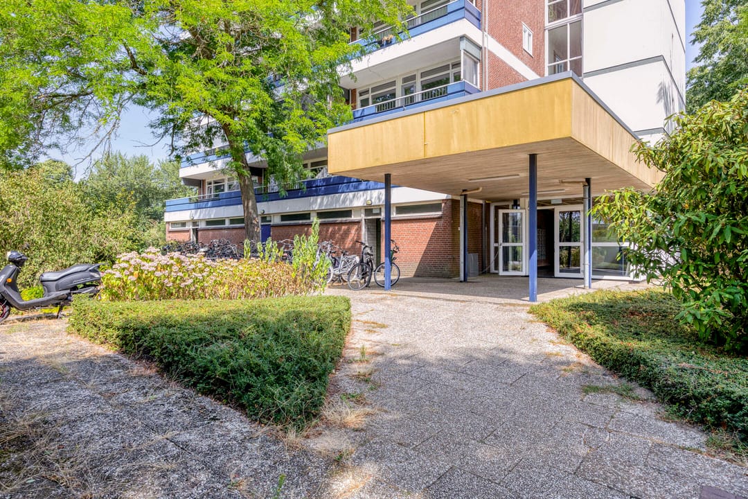 Photo 8 of Scheerling 221