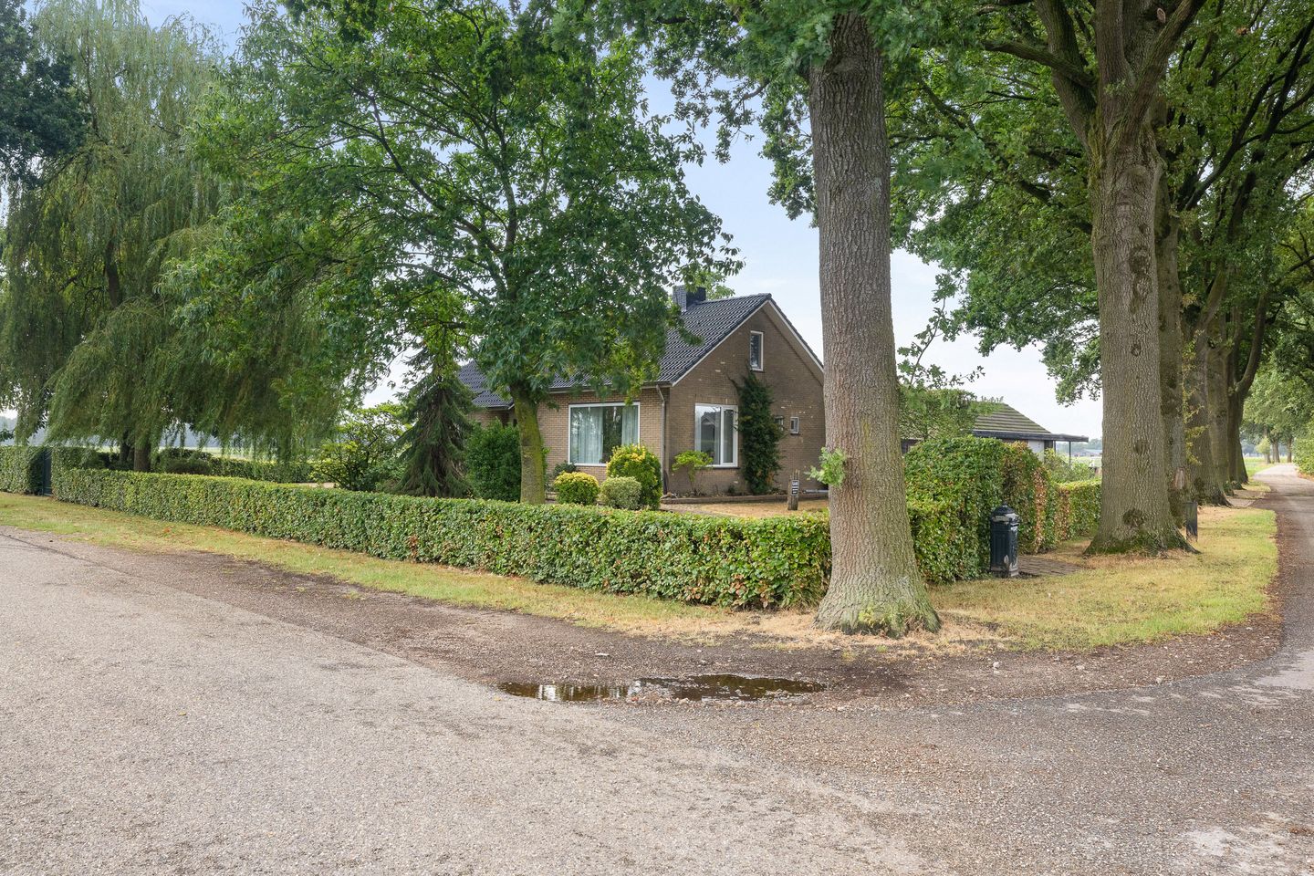 Foto 49 van Steegstraat 34