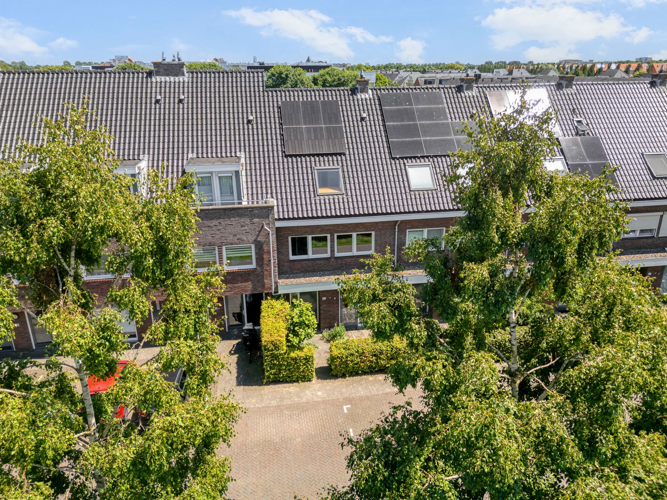 Photo 54 of Paardenbloemsingel 52