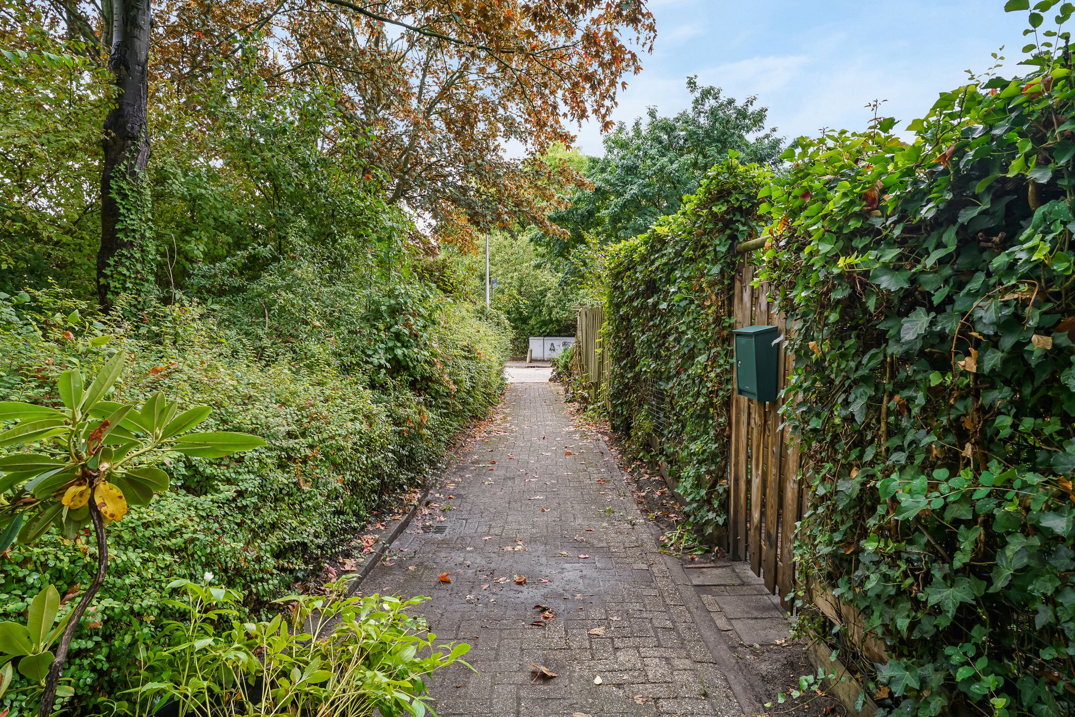 Photo 27 of Muur 107